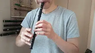 The Lilting Banshee : Tin Whistle