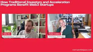 How Traditional Investors and Acceleration Programs Benefit Web3 Startups