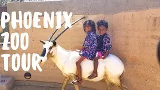 Phoenix Zoo | Vanlife with Kids