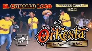 El Caballo Loco ( VIDEO OFICIAL ) - La Orkesta De Nika Sánchez ( Gigantes De La Costa )
