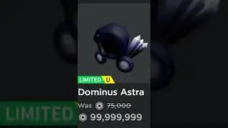 What Noobs Expect When They Say 