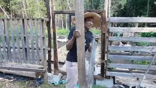 DIY | Making an Easy RUSTIC Gate for The Pond Place Garden #3