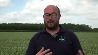 PGRO Guide to Vining Pea Flowering Stages