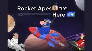 Rocket Apes NFT Collection