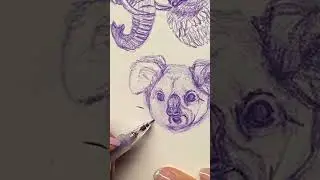 Realistic koala face drawing 🐨🐨🐨🐨