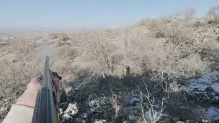 Mardin nusaybin Bagok dağı domuz avı 🔫🔫🔫