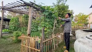 How to Maintain a Healthy Backyard Garden