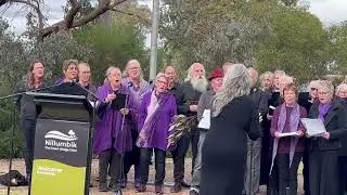 Solid Rock (Shane Howard);  Chocolate lilies Community Choir