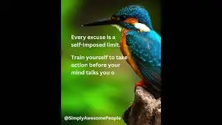 Destroy Excuses! #power #train #quotes #excuses #birds #motivation