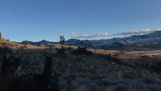 Llama Treks START to FINISH🤙🏽