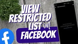 How to view Restricted list on Facebook