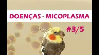 MINISSÉRIE - Doenças - Episódio #03 MICOPLASMA