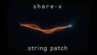 share-x . string patch