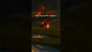 relaxing by the campfire #osrs #osrspvm #oldschoolrunescape