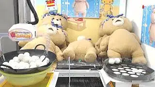 Ted Toreba.net Win