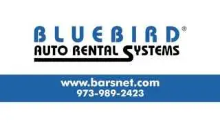 Car Rental Software: Meet Bluebird Auto Rental Systems