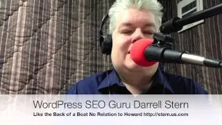 WordPress SEO Guru Darrell Stern