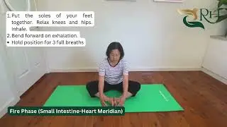 Fire Meridian Small Intestine Heart Balance