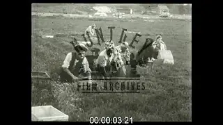 Cranberry Harvest and Transport, U.S., 1950s - Film 1094298