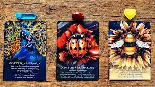 🎊CONGRATULATIONS!🎊 YOU JUST SHIFTED! 444 🌟🌎✨ | Pick a Card Tarot Reading