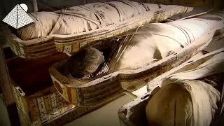 Inside Saqqara's Step Pyramid: Imhotep, Unas Texts, and a Sealed Tomb