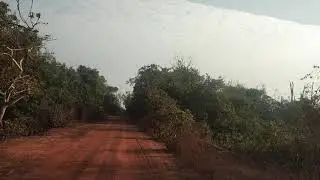 Balukhand-konark Sanctuary