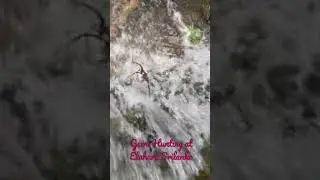 Gem hunting at Elahara Srilanka