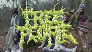 Eirinn Hayhow Fall/Winter 22-23 TREE PEOPLE
