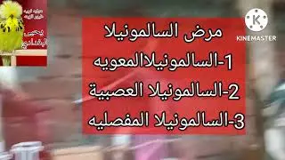 السالمونيلا 😱😱 أفضل طريقه لعلاج السالمونيلا.الطريقه الصحيحه لتقديم جرعات الوقايه والعلاج