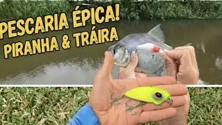 ​