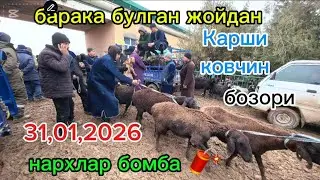 Барака булган жойдан Ковчин мол 🐄 бозори 31,01,2026 qovchin mol bozori narxlari haqida