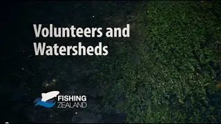Volunteers and Watersheds in Denmark