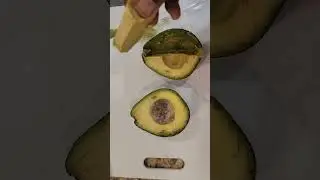 Taste testing the first Holiday Avocado from my tree