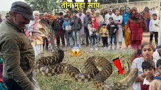बहुत ही तेज काटने वाला सांप | checkered keelback snake Rescue (Non Venomous) Water Snake