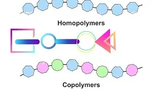 Homopolymers | Copolymers