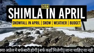 Shimla in april | snowfall / april 2023 | Snow | Hotel | Budget | kufri