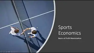 Sports Economics: Basics of Profit Maximization