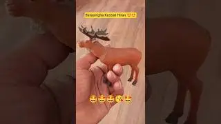 🤩🤩 Kasturi Hiran ki video 😘😘 #haran #animals 😘😘🦌🦌🦌🦌