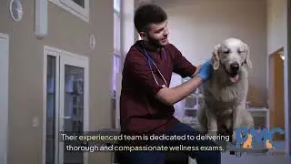 Pet Health Checkup in Woodward IA | Pet Medical Center