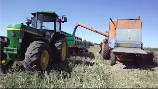 Rzepak 2016