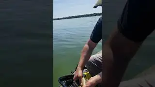 Lac Ste Anne