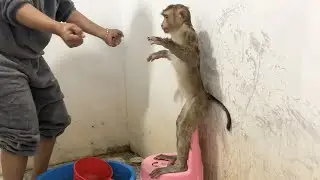 Clever Jason Amusingly Stunned With Mom Dance To Apply Shampoo While Take Bath