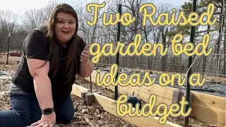 Raised Garden Beds on a Budget | Affordable Raised Beds | Revamping the Garden | Vegetable Garden