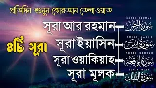 ►সূরা ইয়াসিন ►সূরা ওয়াকিয়া ►সুরা রহমান ►সুরা মূলক  রমজানের সেরা তিলাওয়াত Recited by ALAA YASEER