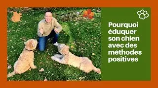 🐶 Pourquoi ÉDUQUER son CHIEN avec des MÉTHODES POSITIVES