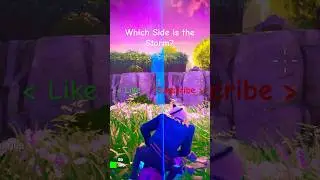 Which Side is the Storm On? Pt. 41 #fortnite #emote #storm