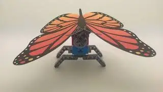 Flutterby Butterfly