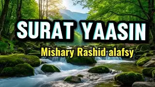 SURAT YAASIN MISHARY RASHID ALAFSY