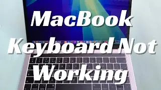 Как исправить неработоспособность клавиатуры MacBook