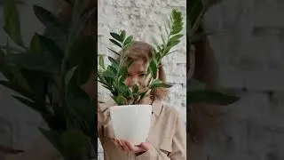 These plants THRIVE on NEGLECT!